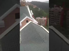 Houtkorrel gekleurde met steen beklede tegels waterdicht met steen beklede metalen tegels