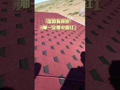 Fiberglass Asfalt Steen dak gordelroos Decoratief Voor Commerciële