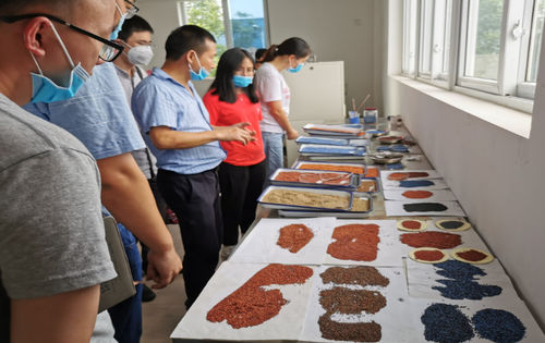 Latest company news about Industrie-universiteit-onderzoeksbasis van de afdeling materialen van Chengdu University of Technology, uitgebreide samenwerking met China Guangdong Building Materials